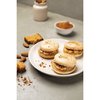 Silpat Toile macarons AES585385-65